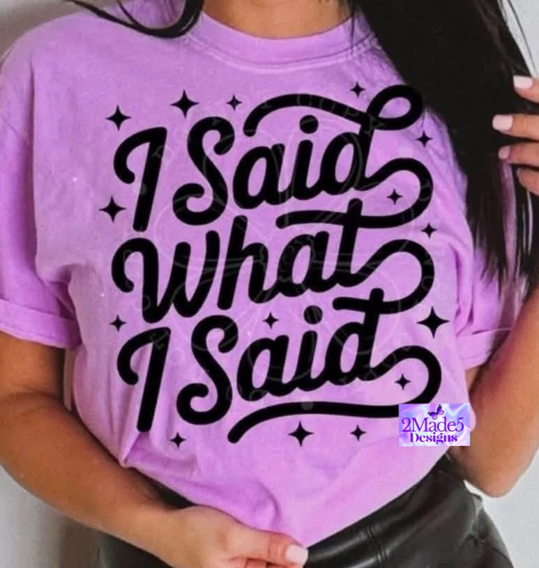 I Said What I Said Shirt